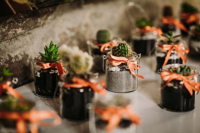 Bomboniere con piante grasse: 15 idee "succulente" per presentarle🌵 - 7
