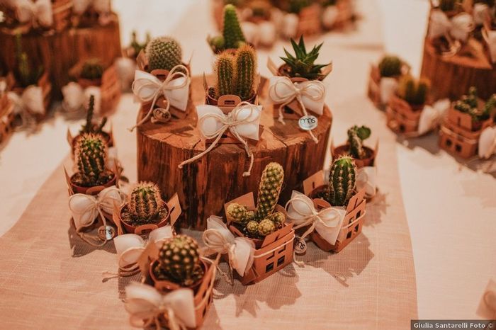 Bomboniere con piante grasse: 15 idee "succulente" per presentarle🌵 - 9