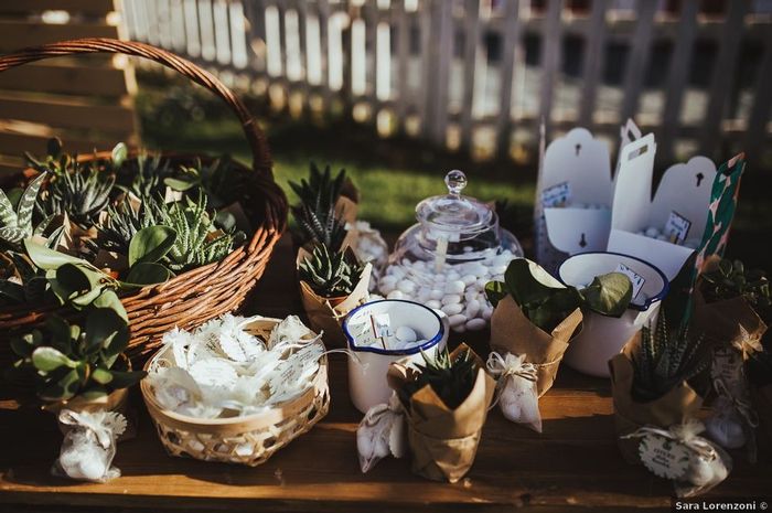 Bomboniere con piante grasse: 15 idee "succulente" per presentarle🌵 - 10