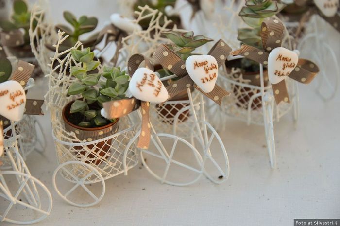 Bomboniere con piante grasse: 15 idee "succulente" per presentarle🌵 - 11