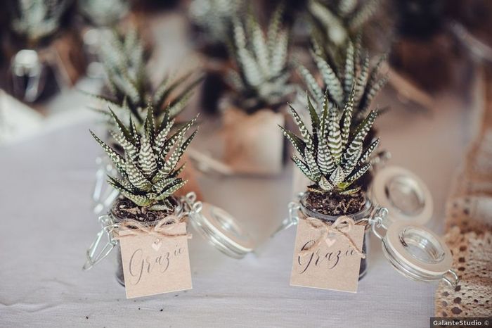 Bomboniere con piante grasse: 15 idee "succulente" per presentarle🌵 - 13