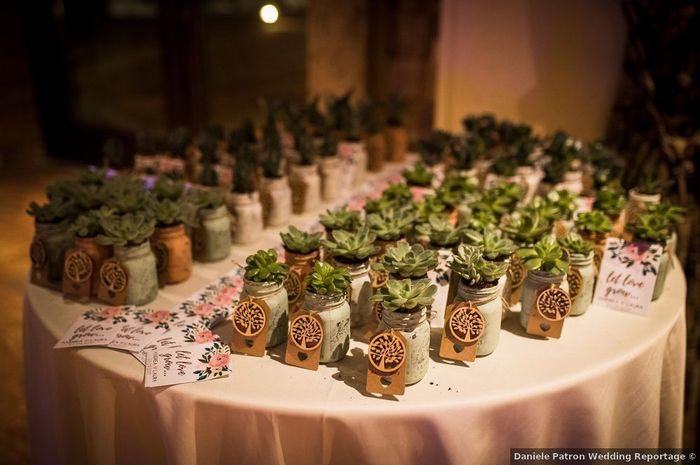 Bomboniere con piante grasse: 15 idee "succulente" per presentarle🌵 - 14