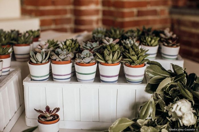 Bomboniere con piante grasse: 15 idee "succulente" per presentarle🌵 - 15
