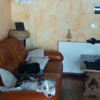 Le foto dei vostri animali - 4