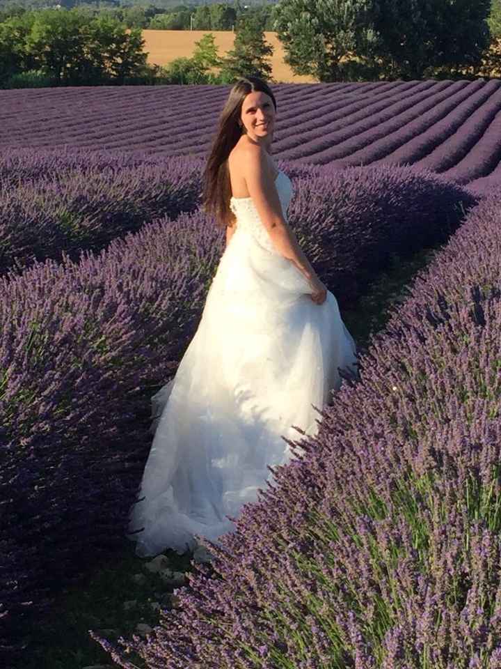 lavanda 3