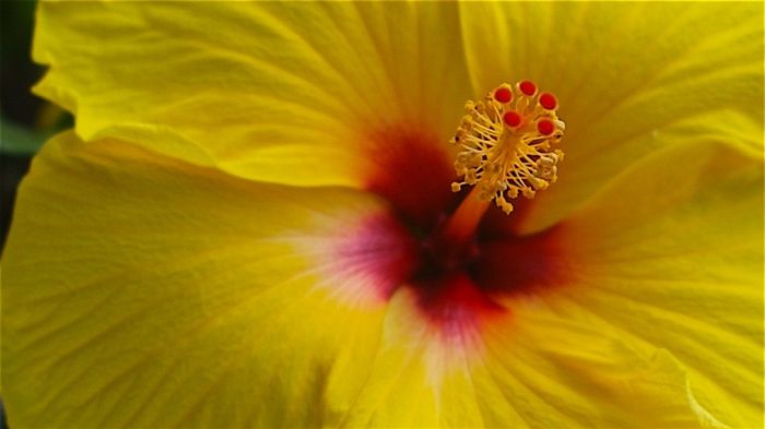 Significato dei colori giallo