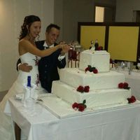 Il mio fantastico matrimonio - 6