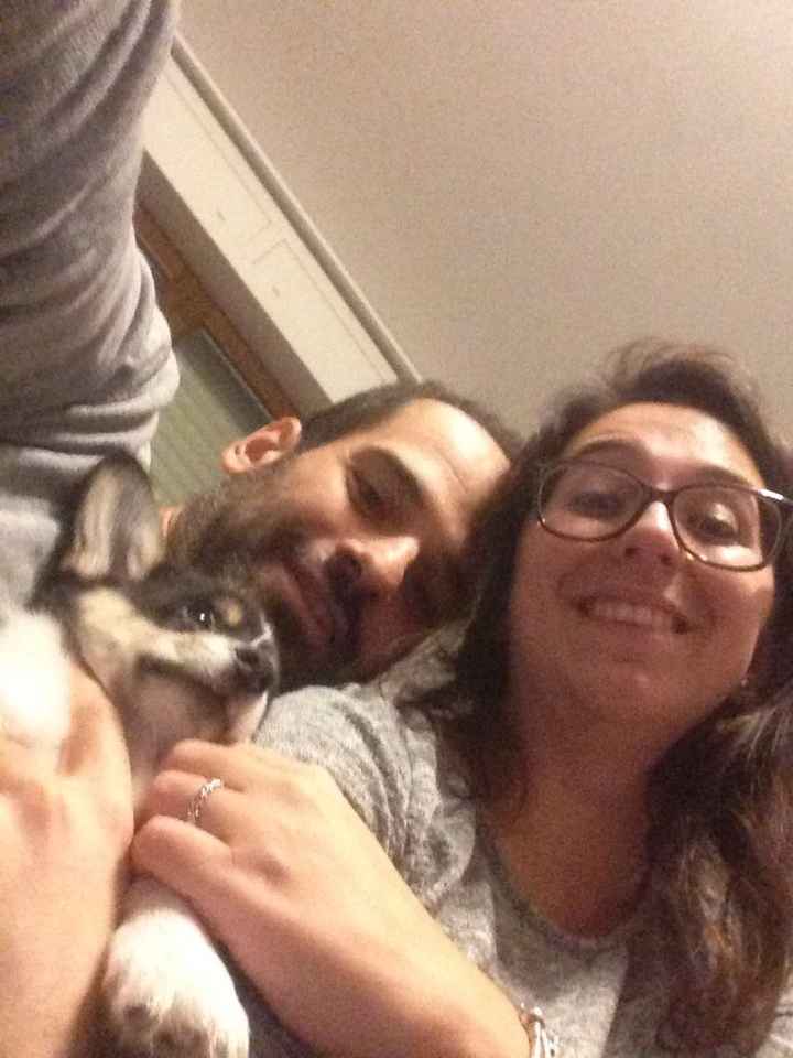  Nuovo membro in famiglia ❤🐶 - 1
