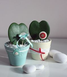 Bomboniere con piantine - 2