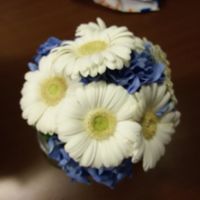 Spose blu/azzurro a me!! - 3