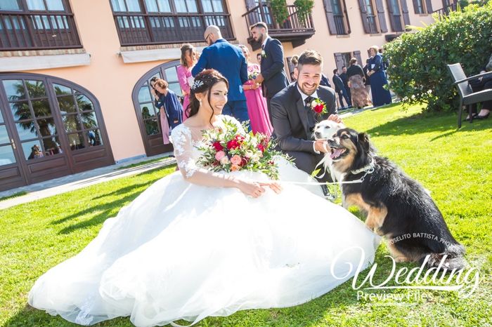 Foto con animali domestici il giorno delle nozze: sì o no? 1