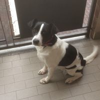 Il più bel regalo ricevuto 💝 - 1