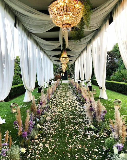 Adorate pampas😂😂😍 2