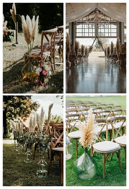 Adorate pampas😂😂😍 3