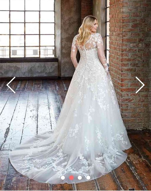 Collezione 2021 Eddy K.curvy 2