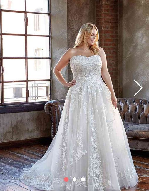 Collezione 2021 Eddy K.curvy 4