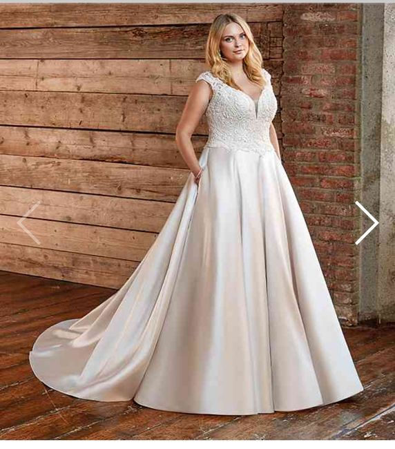 Collezione 2021 Eddy K.curvy 5