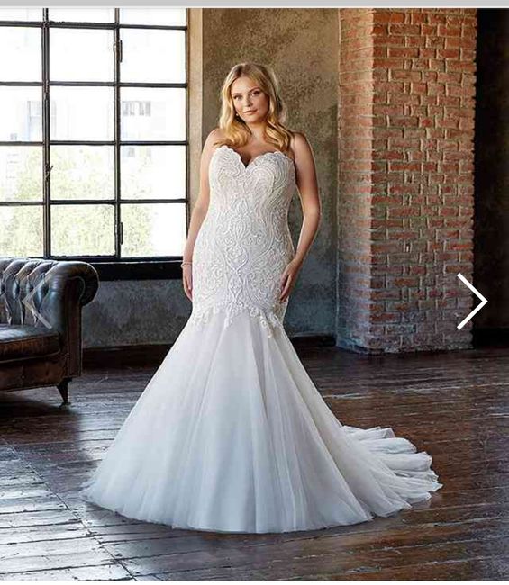 Collezione 2021 Eddy K.curvy 6