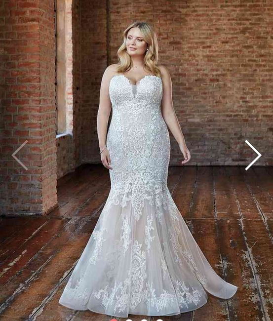 Collezione 2021 Eddy K.curvy 7