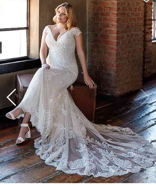 Collezione 2021 Eddy K.curvy 8
