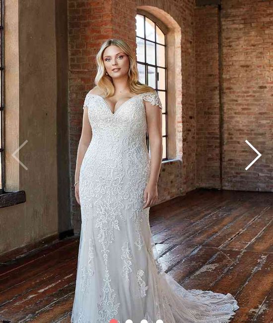 Collezione 2021 Eddy K.curvy 9