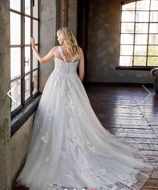 Collezione 2021 Eddy K.curvy 11