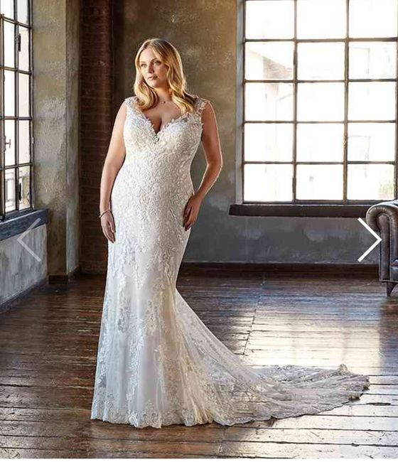 Collezione 2021 Eddy K.curvy 12