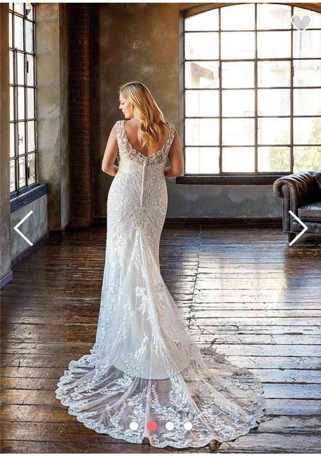 Collezione 2021 Eddy K.curvy 13