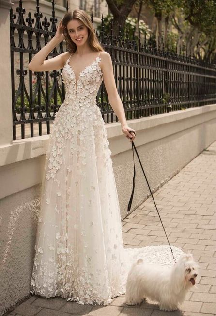 pnina tornai 2022