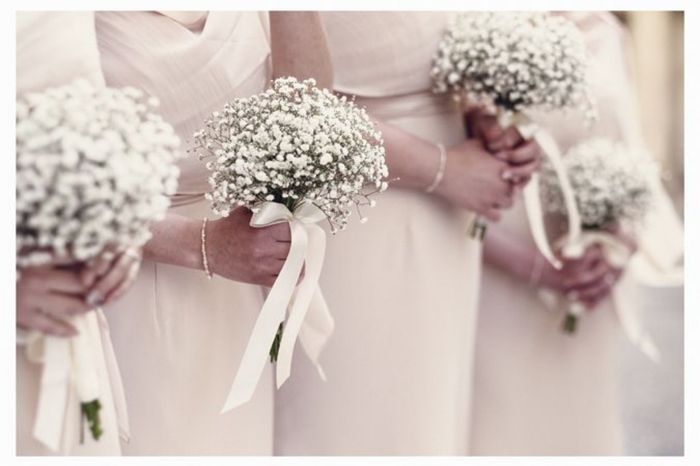 Ansia e indecisioni varie 2