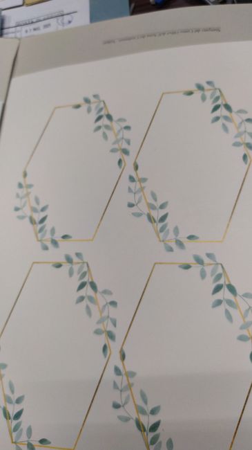 Habemus nuovo admin... cioè io!  😍 1