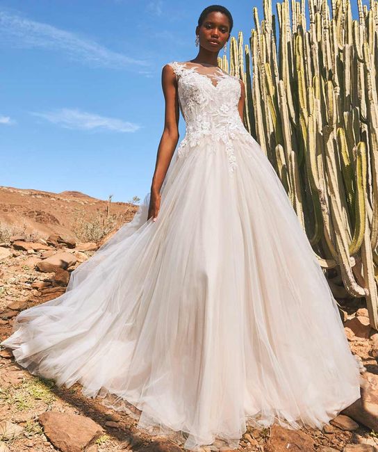 Collezione Pronovias 2022 17
