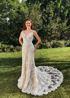 Collezione Delsa 2022 61