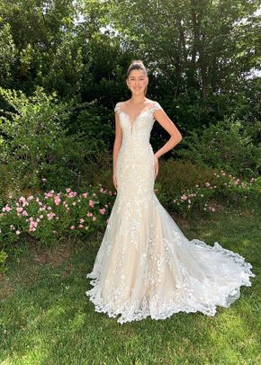 Collezione Delsa 2022 62