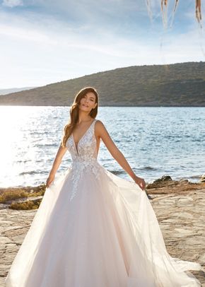 Collezione Eddy K. 2023 - 24