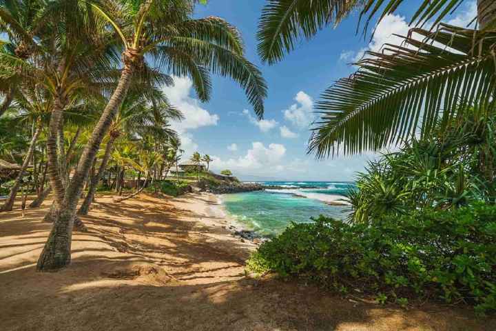 6 mete da sogno per un viaggio di nozze indimenticabile 😍😍 - 2