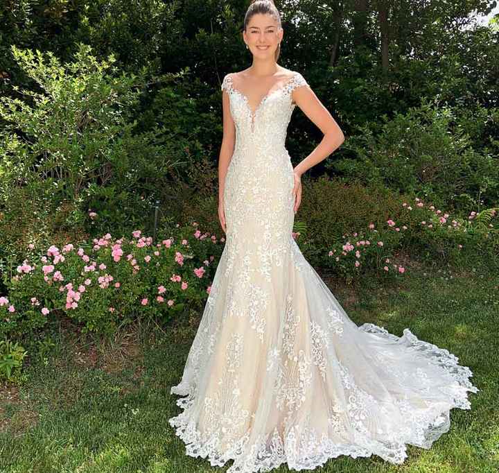 Collezione 2021 Delsa - 7