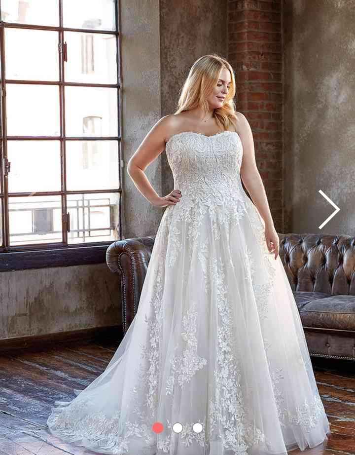 Collezione 2021 Eddy K.curvy - 3