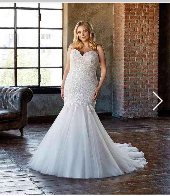 Collezione 2021 Eddy K.curvy - 5