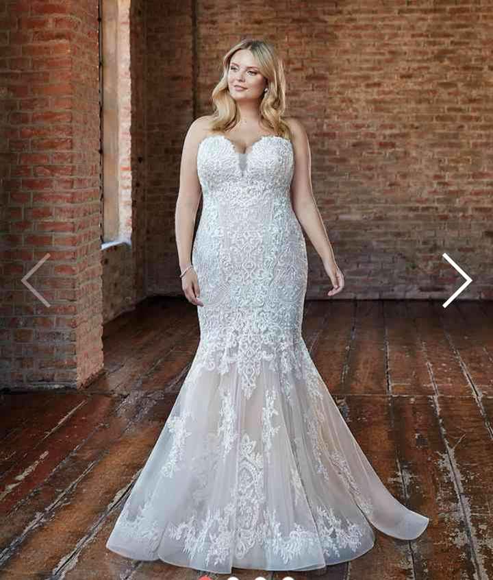 Collezione 2021 Eddy K.curvy - 6