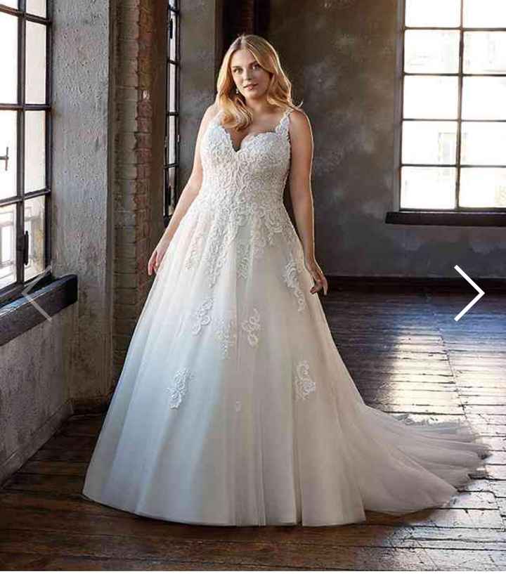 Collezione 2021 Eddy K.curvy - 9