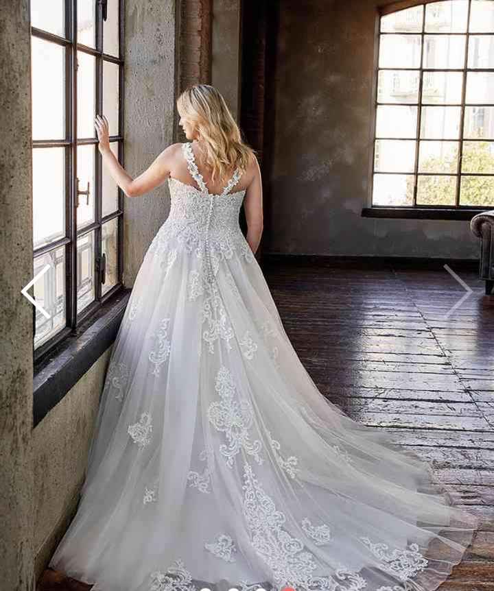 Collezione 2021 Eddy K.curvy - 10