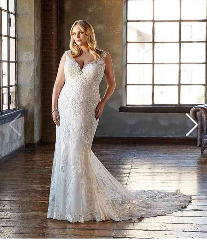 Collezione 2021 Eddy K.curvy - 11