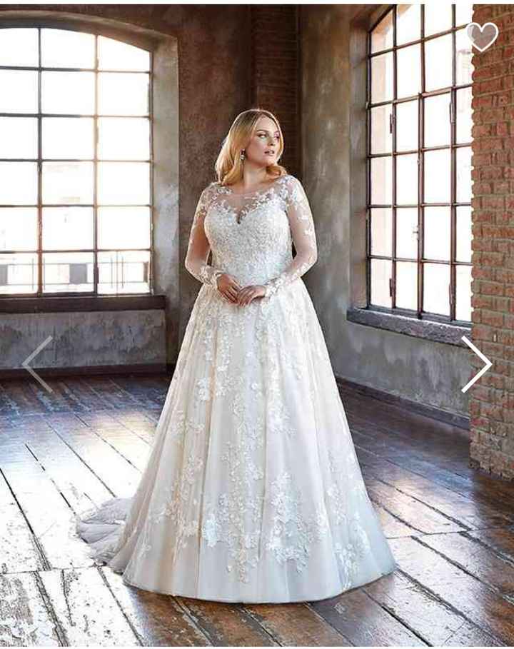 Collezione 2021 Eddy K.curvy - 13