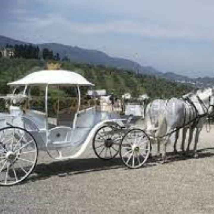 Mezzi di trasporto 🥰🥰😍😍😍 - 1