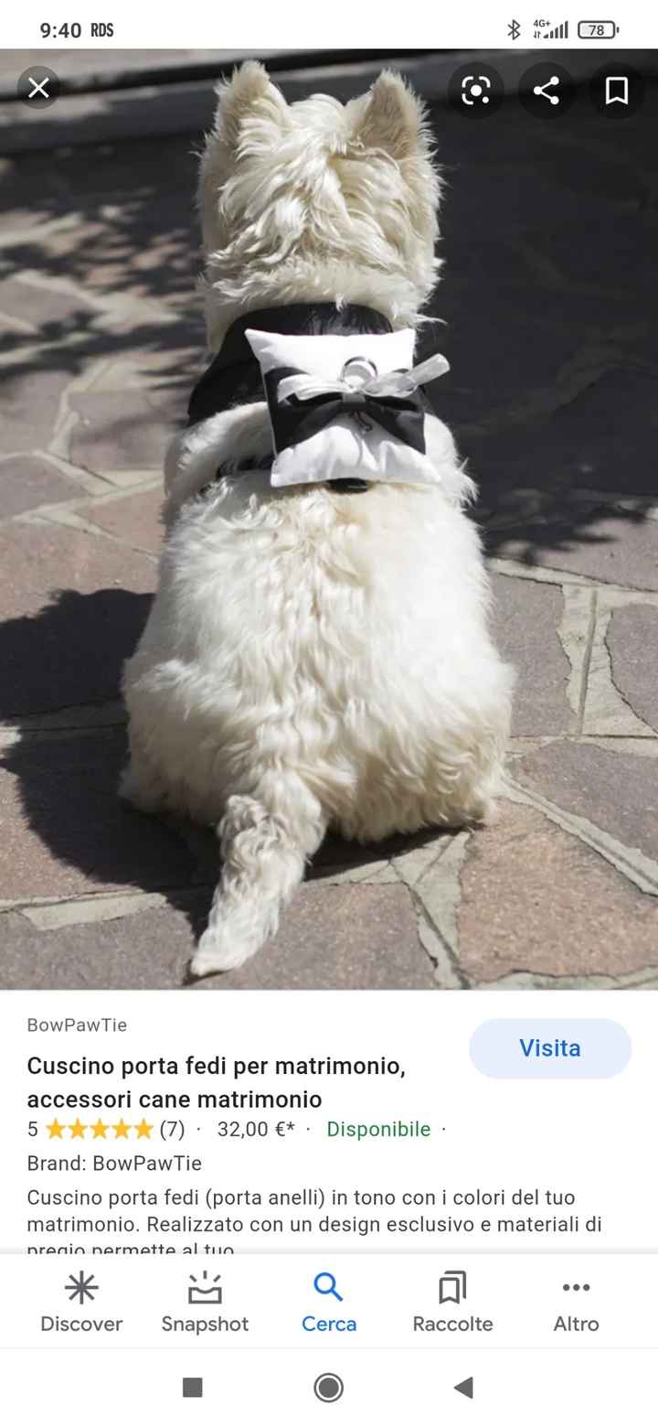 Cani al matrimonio - 2