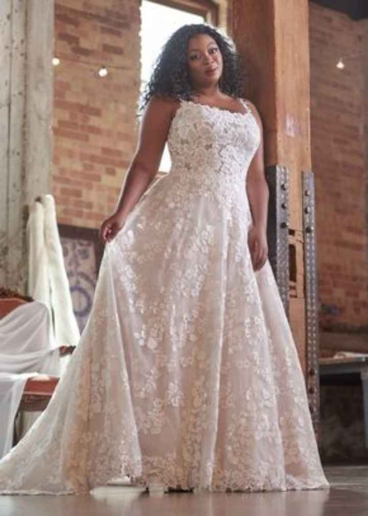Collezione Ditteri and Midgley 2022 - 1
