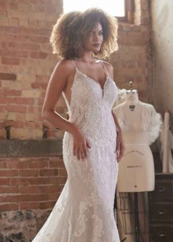 Collezione Ditteri and Midgley 2022 - 8