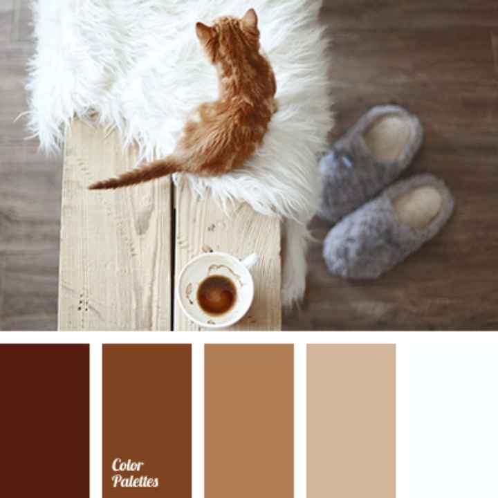 Colore tema - 1