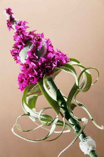 Che il bouquet sia con te... :d:d - 13